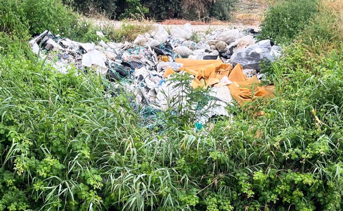 Adana'daki Geri Dönüşüm Merkezi Çevresinde Yüksek Mikroplastik Kirliliği Tespit Edildi