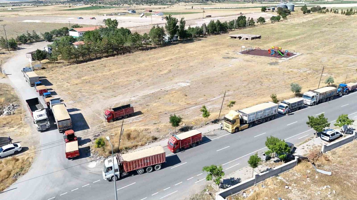 Tomarza'da TMO hububat alımları sürüyor