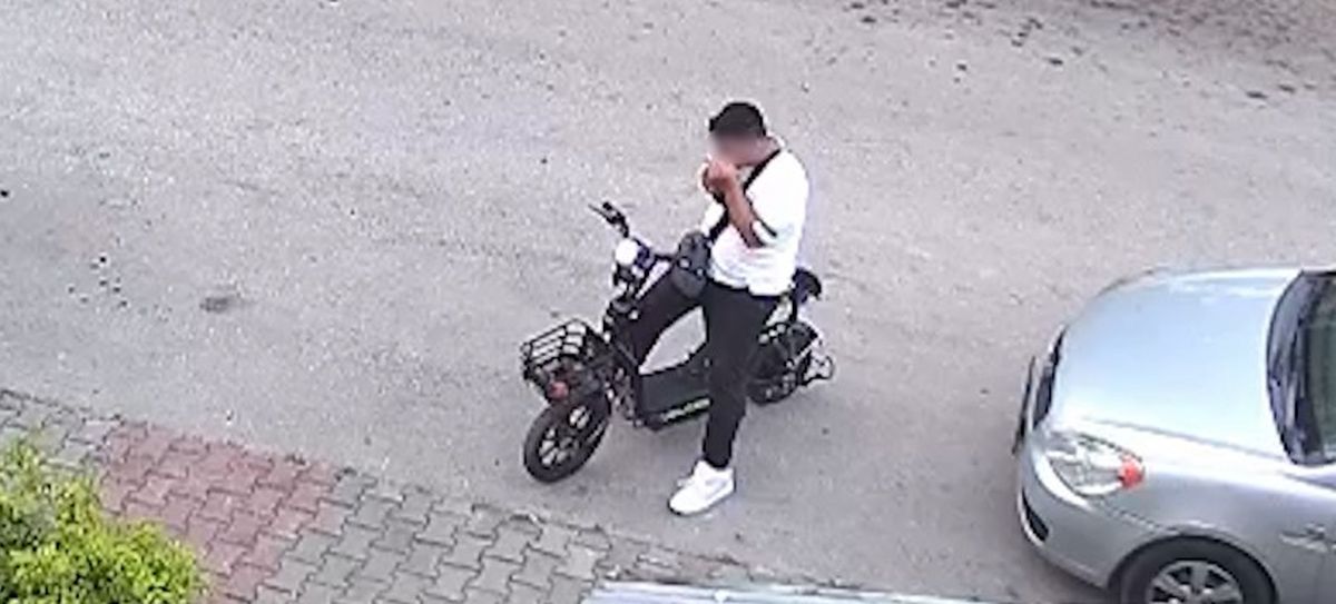 Bolu'da Elektrikli Bisikletli Şahıs Yavru Kediyi Öpüp Boğarak Öldürdü