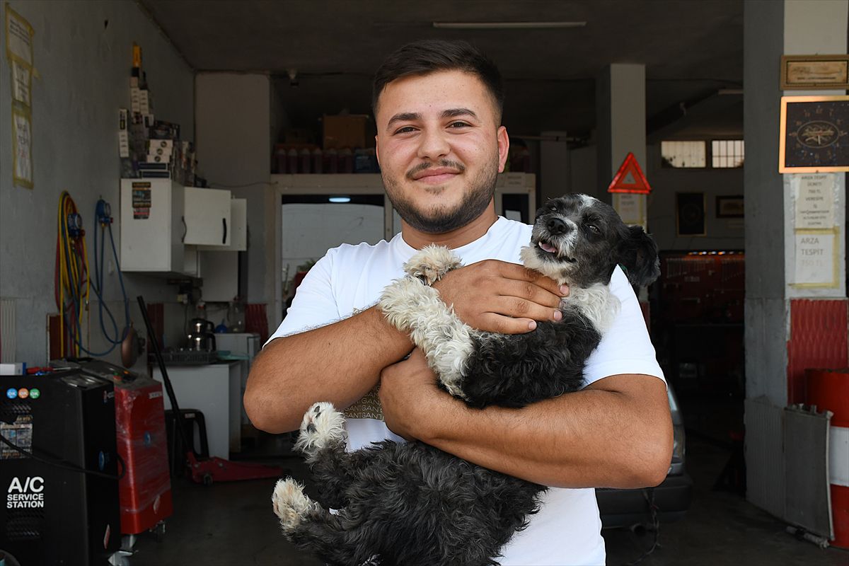 Adana'da Esnaf Boğulmak Üzere Olan Köpeği Kurtardı