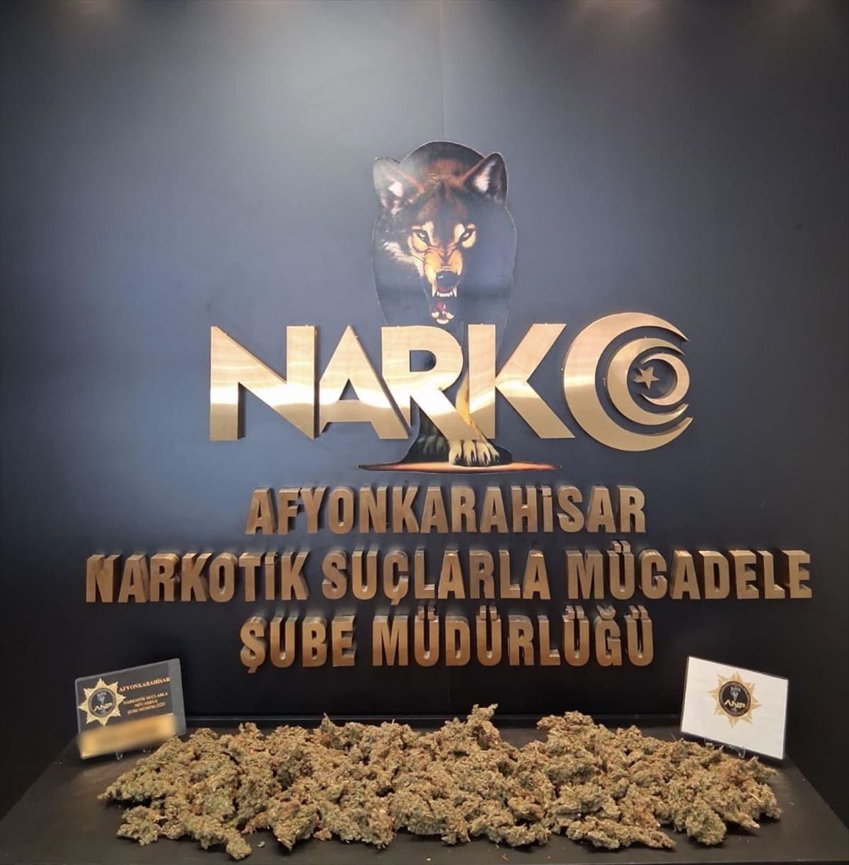 Afyonkarahisar’da Uyuşturucu Operasyonu: 1 Kilo 100 Gram Ele Geçirildi, 1 Tutuklama