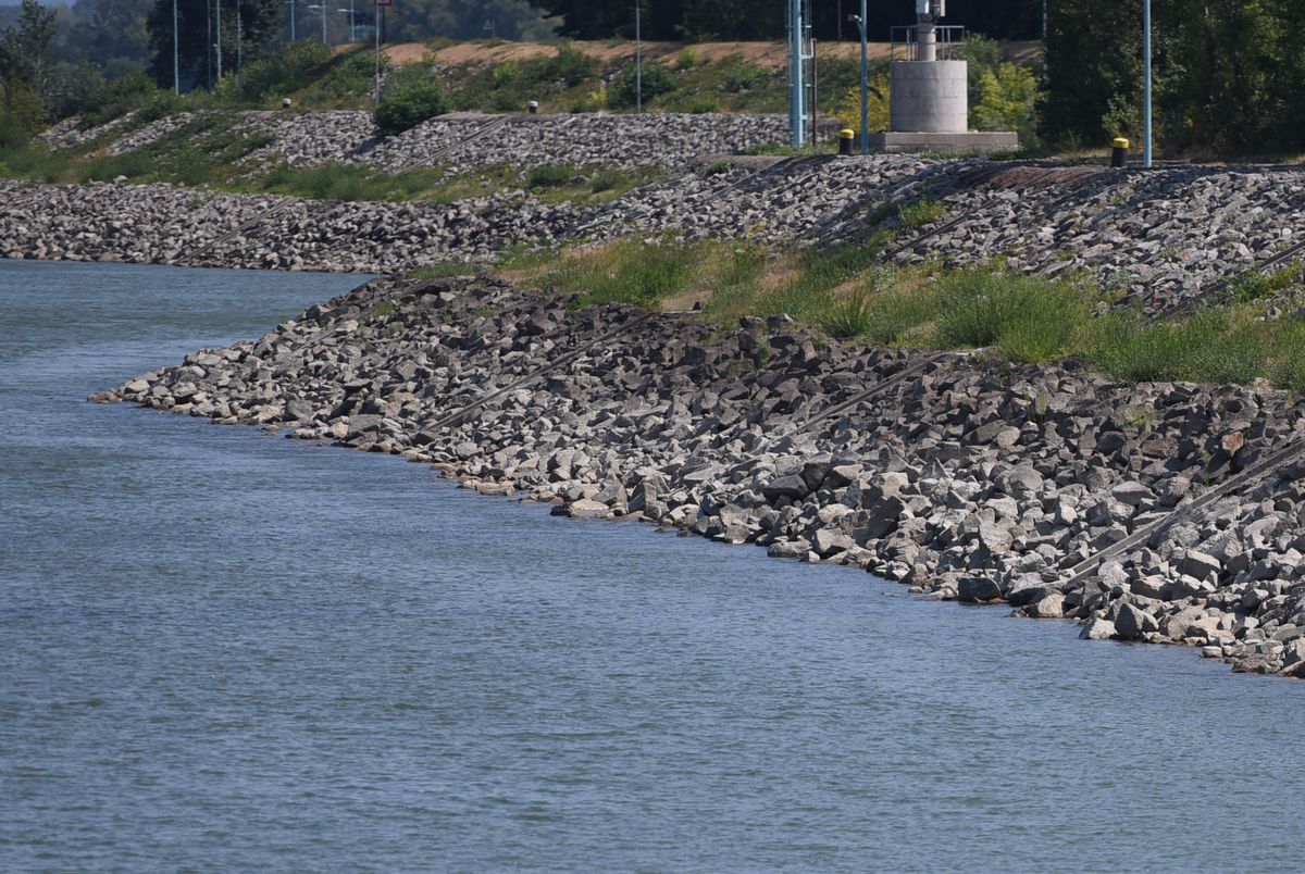 Avusturya'da Rekor Sıcaklık: 41 Derece, Orman Yangınları ve Tuna Nehri'nde Düşük Su Seviyesi