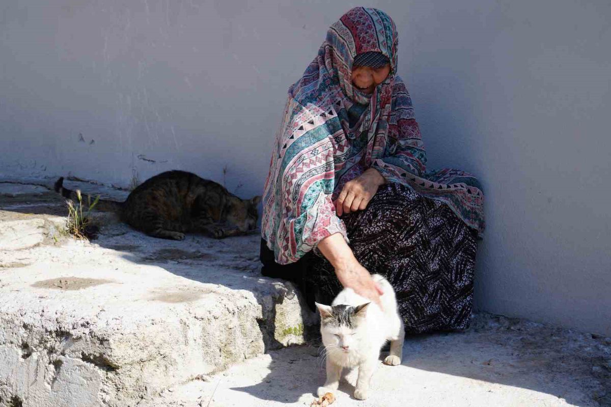 Bayburt'ta 73 Yaşındaki Hatice Nine, 10 Yıllık Kedisini Kaybetti: 'Beni Bekliyordu'