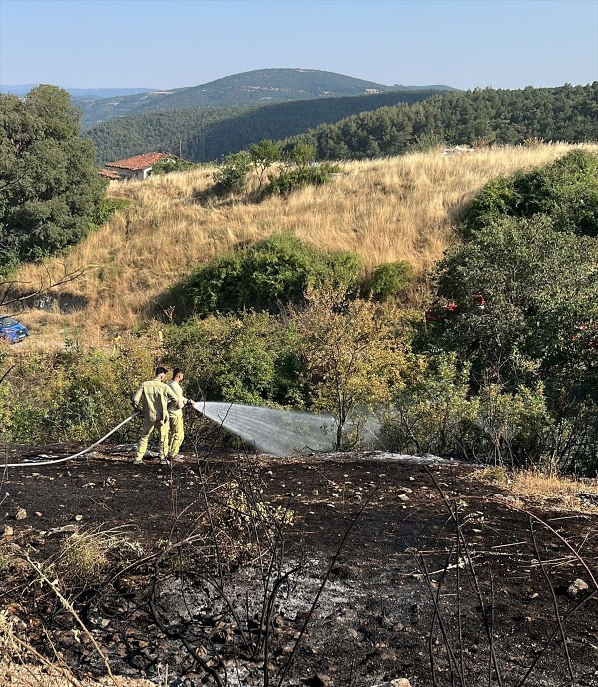 Bilecik'te otluk yangın ormana sıçramadan söndürüldü