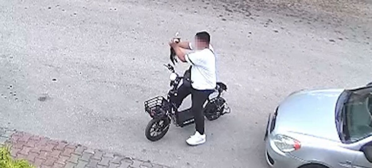 Bolu'da yavru kediyi boğan otizmli çocuk serbest