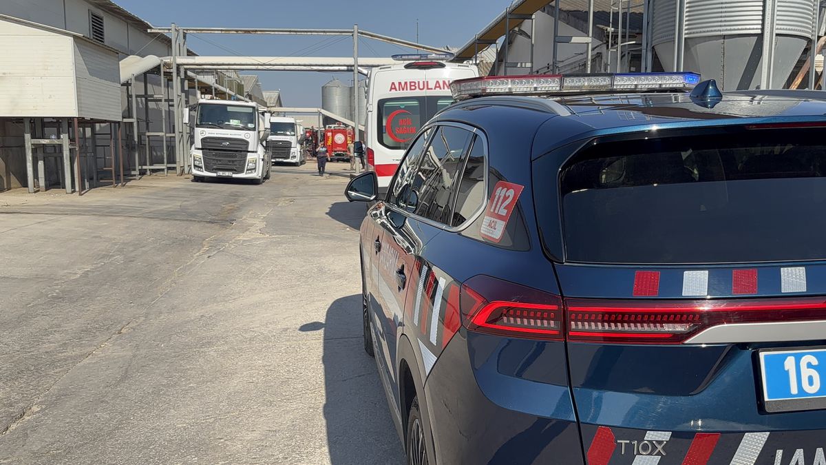 Mudanya'da Tavuk Çiftliğinde Yangın: 12 Bin Tavuk Telef Oldu