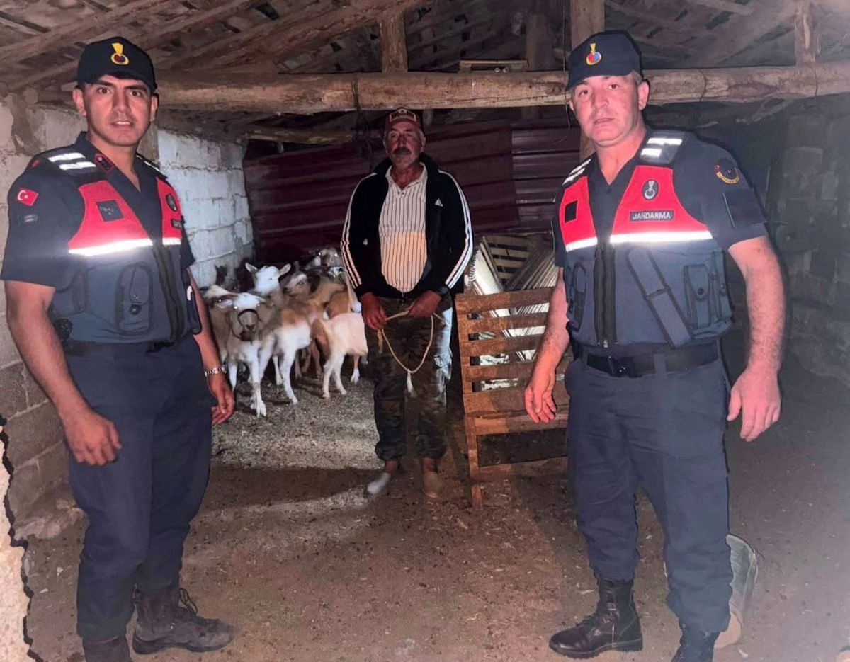 Kayıp 15 küçükbaş hayvan ormanlık alanda bulundu