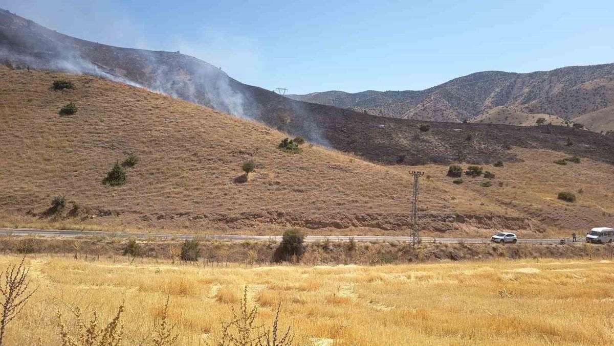 Elazığ'da anız yangını paniği: Ekipler ve vatandaşlar söndürdü