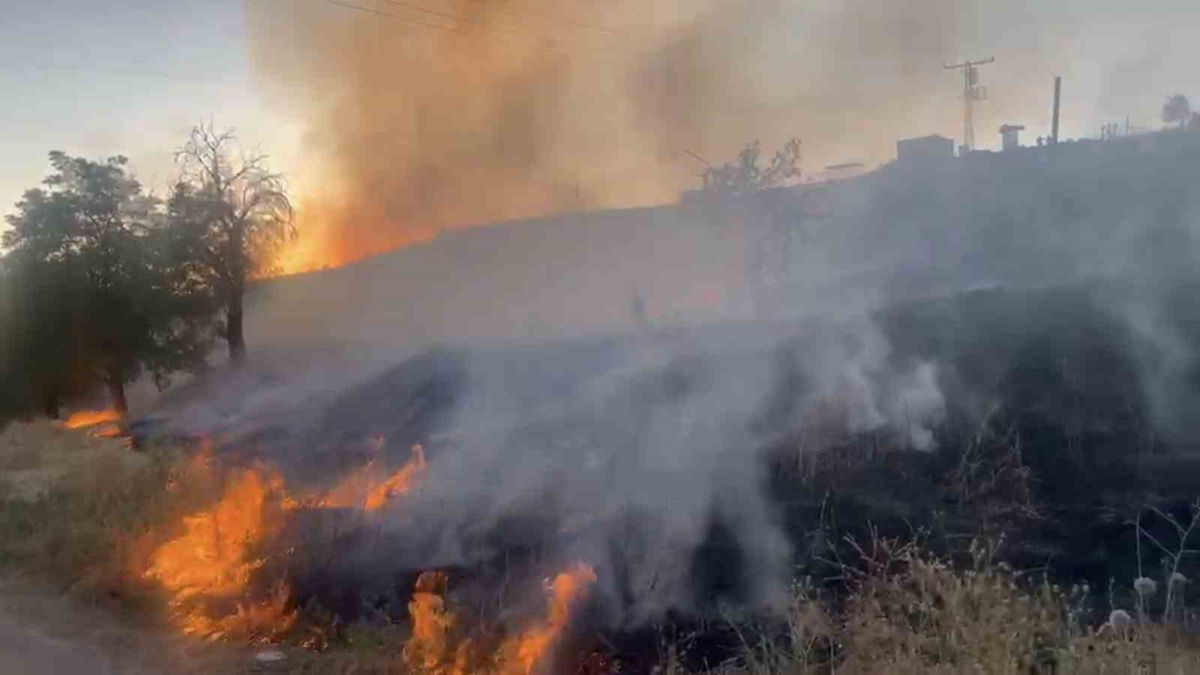 Elazığ'da Mangal Ateşi Yangını Söndürüldü