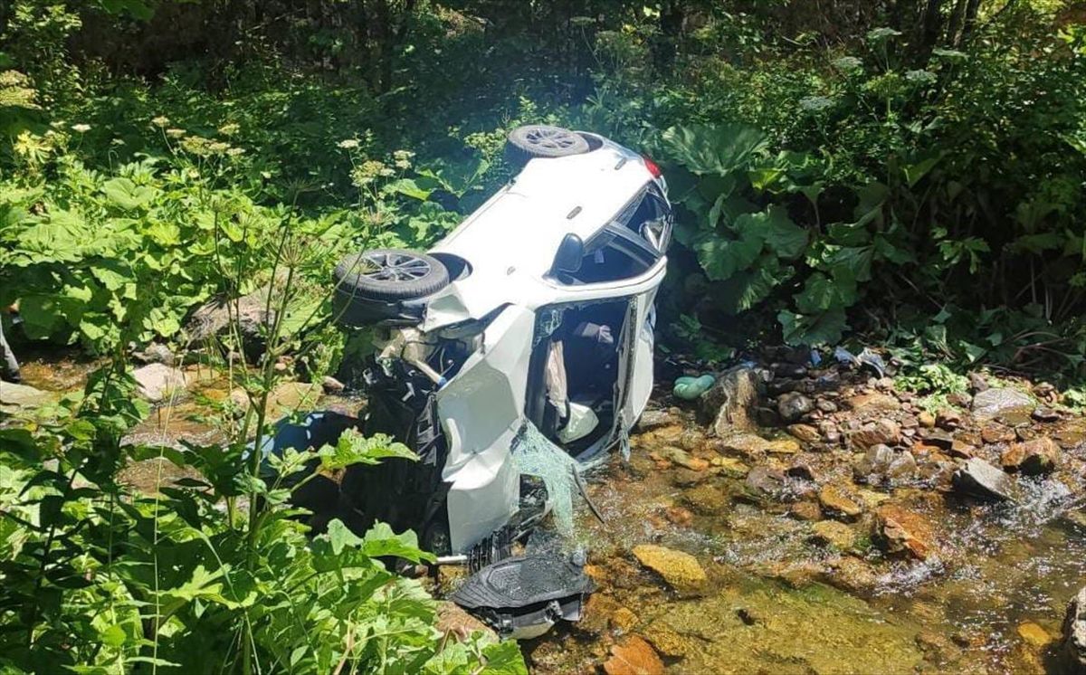 Dereli'de otomobil dereye devrildi: 6 yaralı
