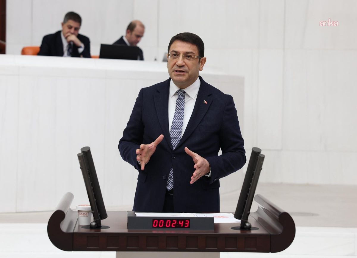 Şahin: 'Eşsiz demokrasi' denilemez