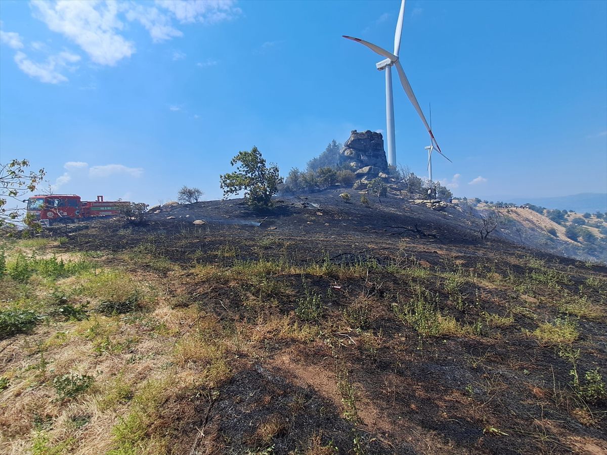 Nazilli'de otluk yangın kontrol altında