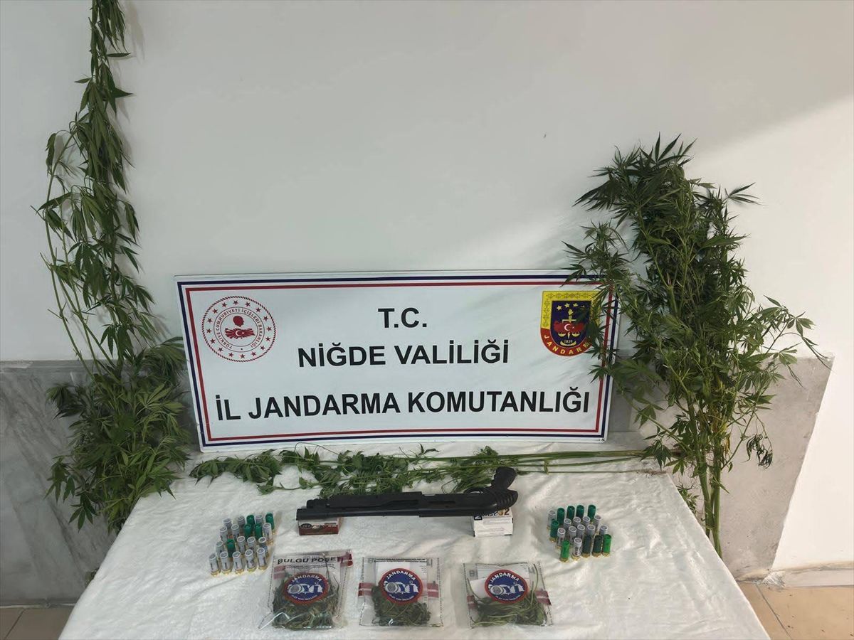 Ulukışla'da Uyuşturucu Operasyonu: 16 Kök Kenevir ve Esrar Ele Geçirildi