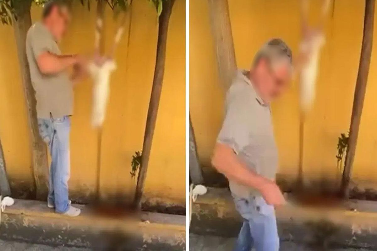 Okul bahçesinde tavşan kestiği görüntüler sanal medyada paylaşılan şüpheli gözaltına alındı