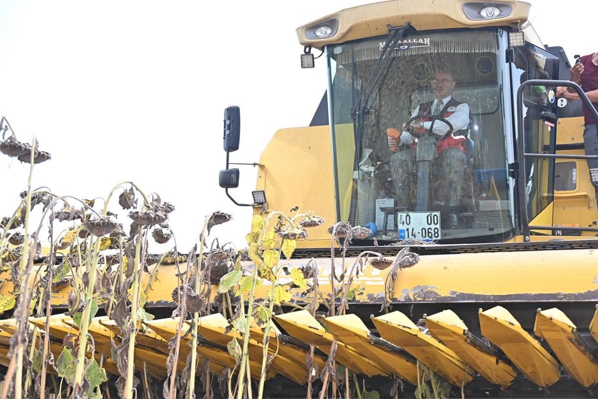 Osmaniye'de ayçiçeği rekoltesi 44 bin 650 ton bekleniyor