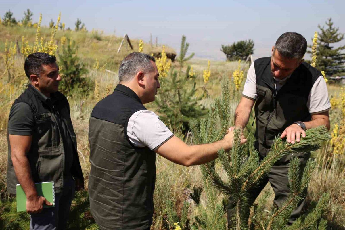 Erzurum'da Ağaçlandırma ve Erozyon Kontrol Çalışmaları Yerinde İncelendi