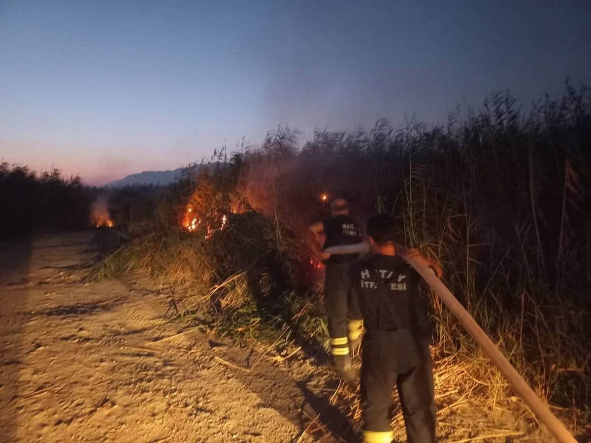 Hatay'da Kamışlık Yangını Kontrol Altına Alındı