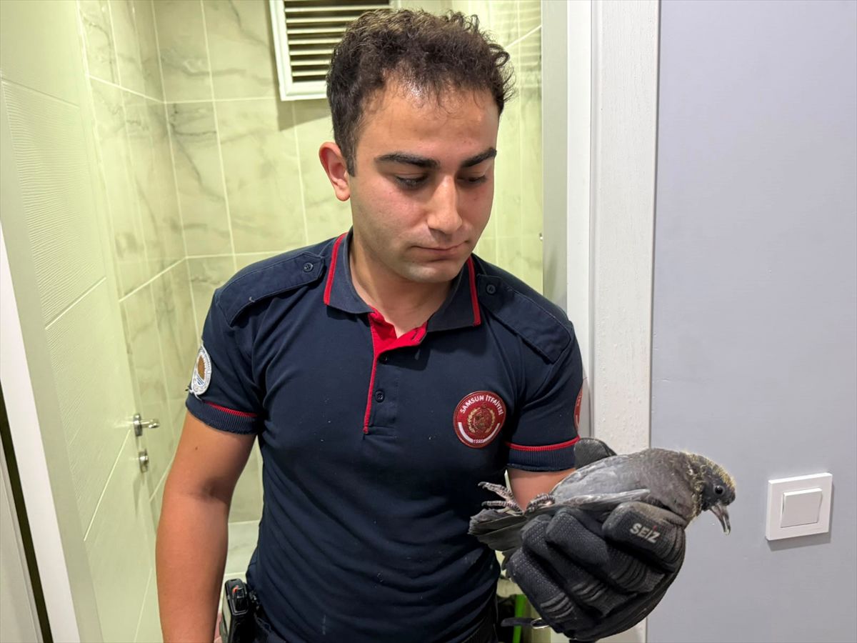 Yavru Güvercin İtfaiye Ekipleriyle Kurtarıldı