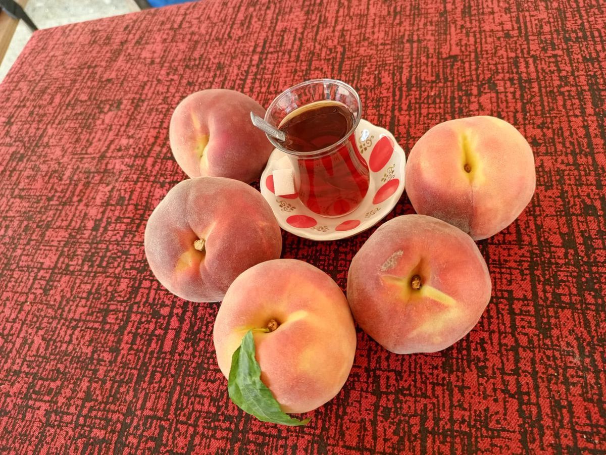 Çivril'de şeftali fiyatı bir günde yarıya düştü: Üretici zararda