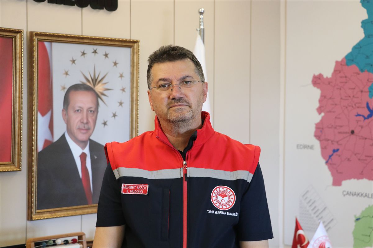 Tekirdağ'da kanola hasadı bereketli geçti