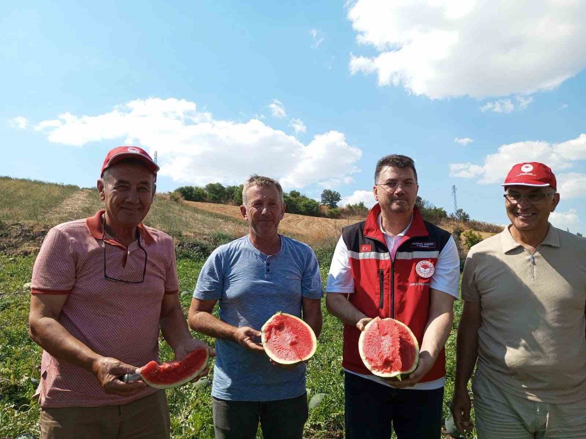 Tekirdağ'da Karpuz Hasadı Başladı