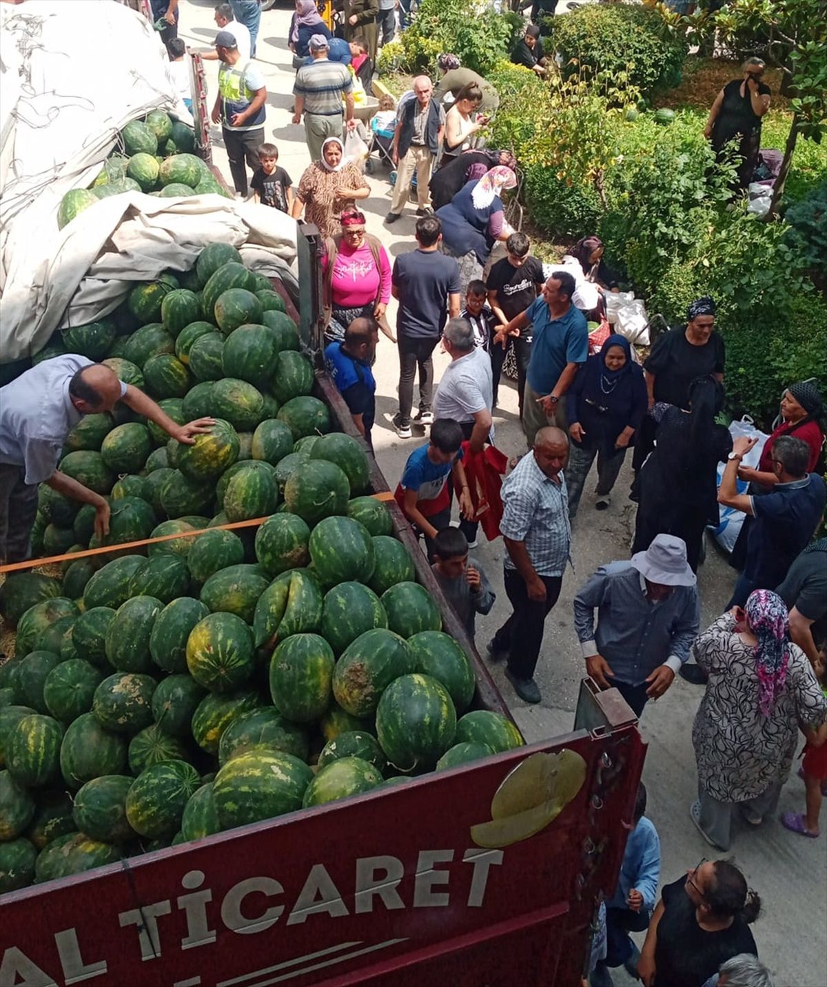 Zile'de Üreticiden 27 Ton Karpuz İkramı