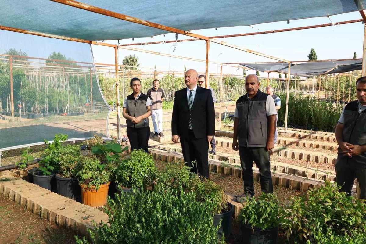 Adıyaman Valisi Küçük, Orman Fidanlık Müdürlüğü'nü Ziyaret Etti