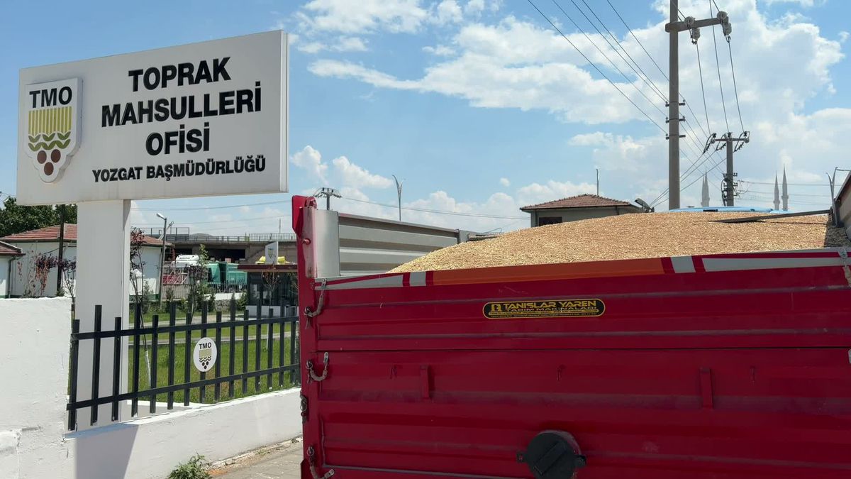 Yozgat'ta çiftçinin hububat isyanı: 'Zararına çiftçilik yapıyoruz'