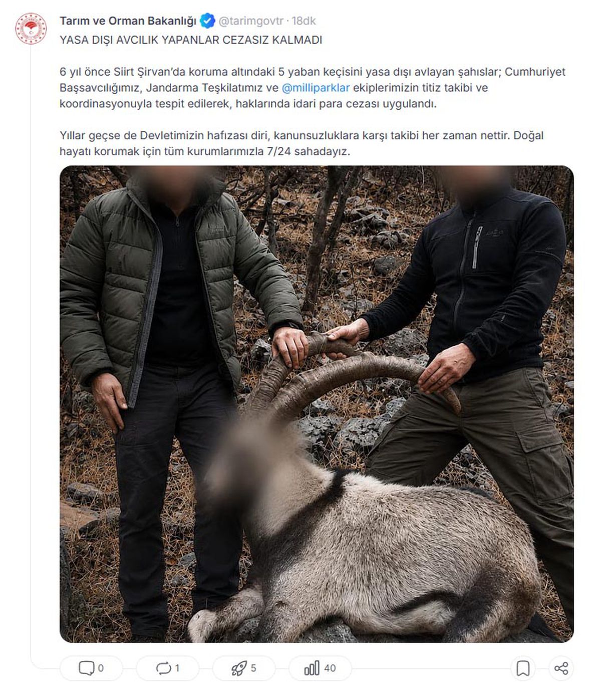 6 Yıl Sonra Yakalandılar: Yaban Keçisi Avcılarına Ceza