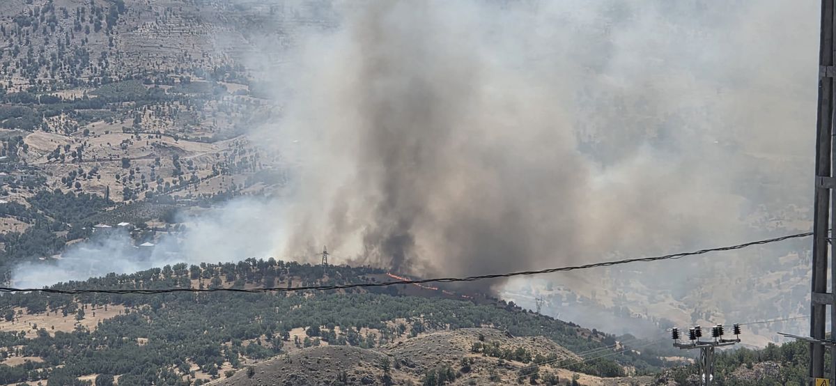 Adıyaman Gerger'de Orman Yangını