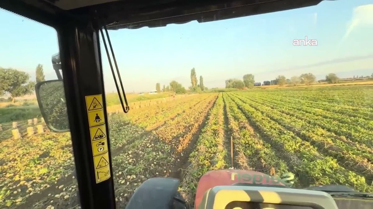 Genç çiftçi 6 ton patatesi ücretsiz dağıttı