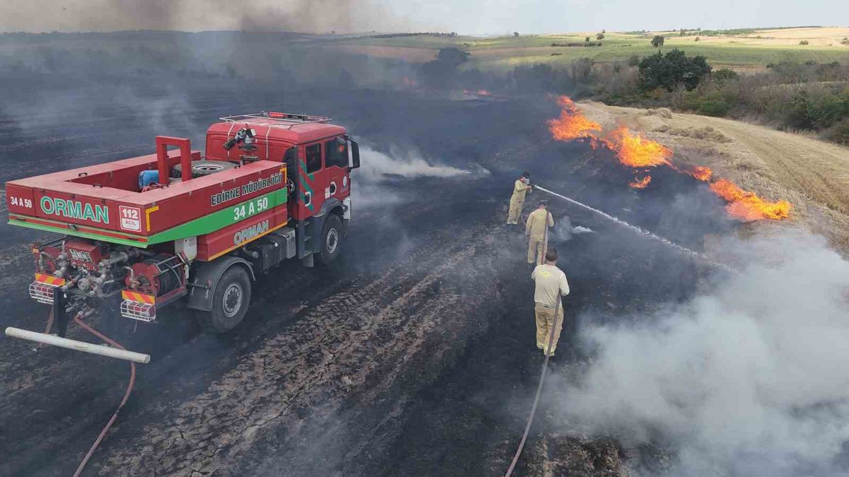 Edirne'de anız yangını kontrol altına alındı
