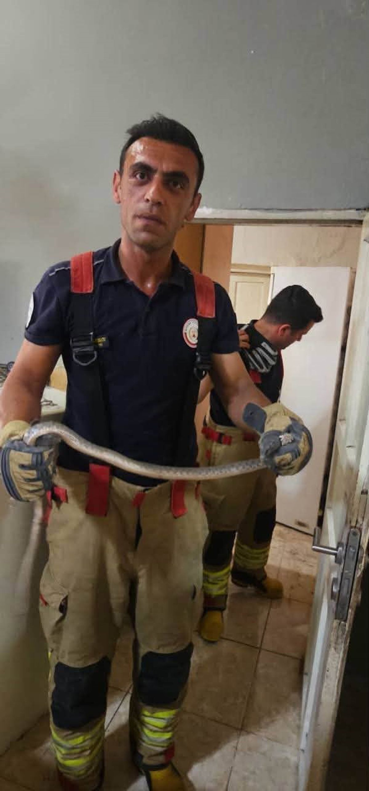 Antakya'da Yılanlar Doğal Yaşam Alanlarına Bırakıldı