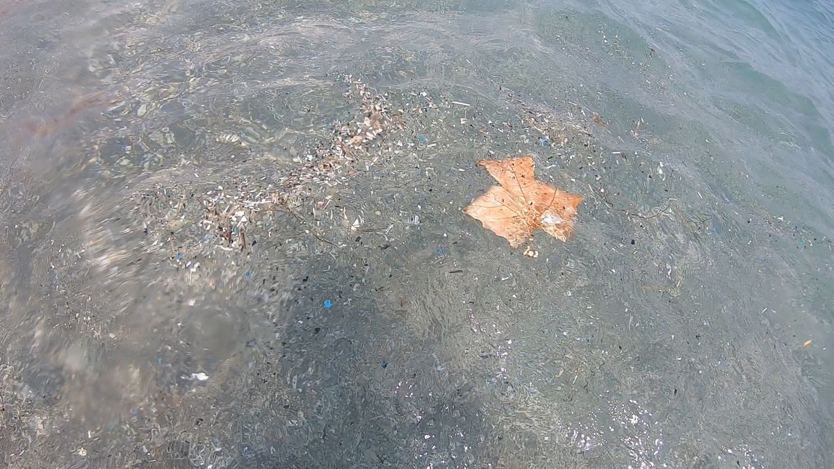 Akdeniz'de Mikroplastik Tehlikesi: Meltem Rüzgarları Kıyıya Plastik Atık Taşıyor