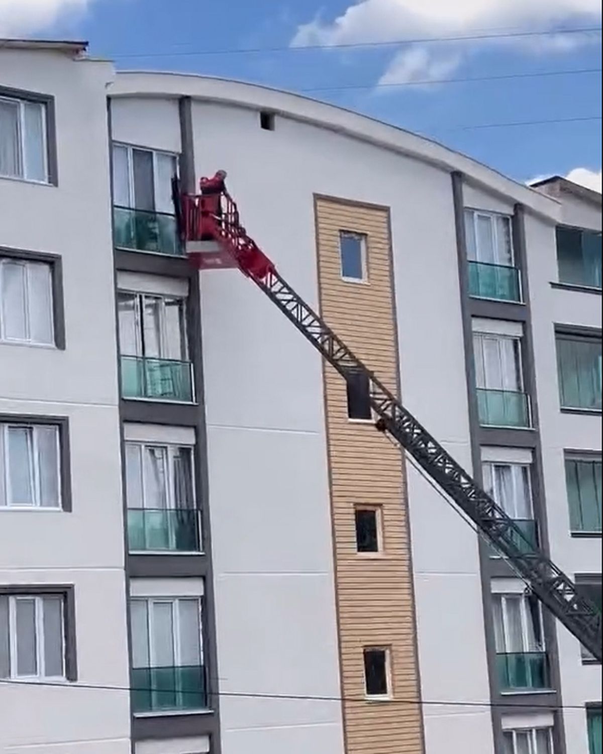 Tokat'ta Balkonda Sıkışan Güvercin Kurtarıldı
