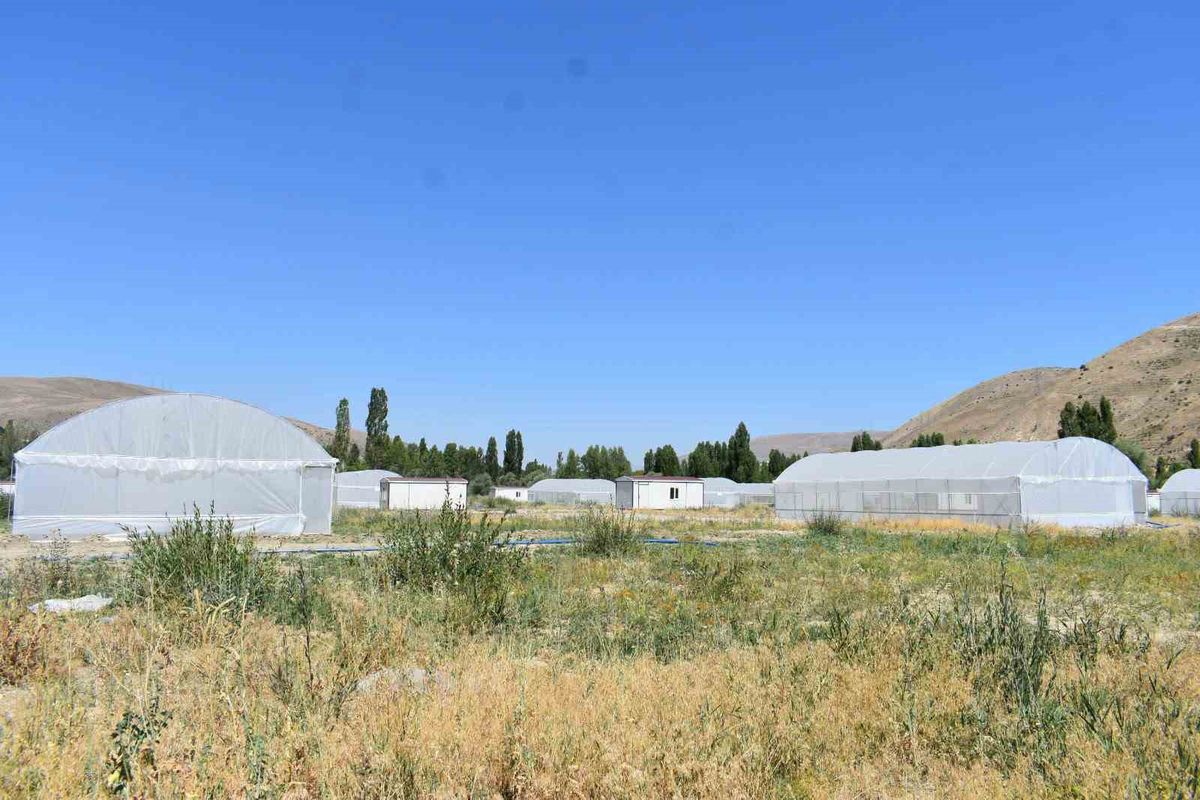 Bayburt Eko Köy 2 Projesi’nde sona doğru