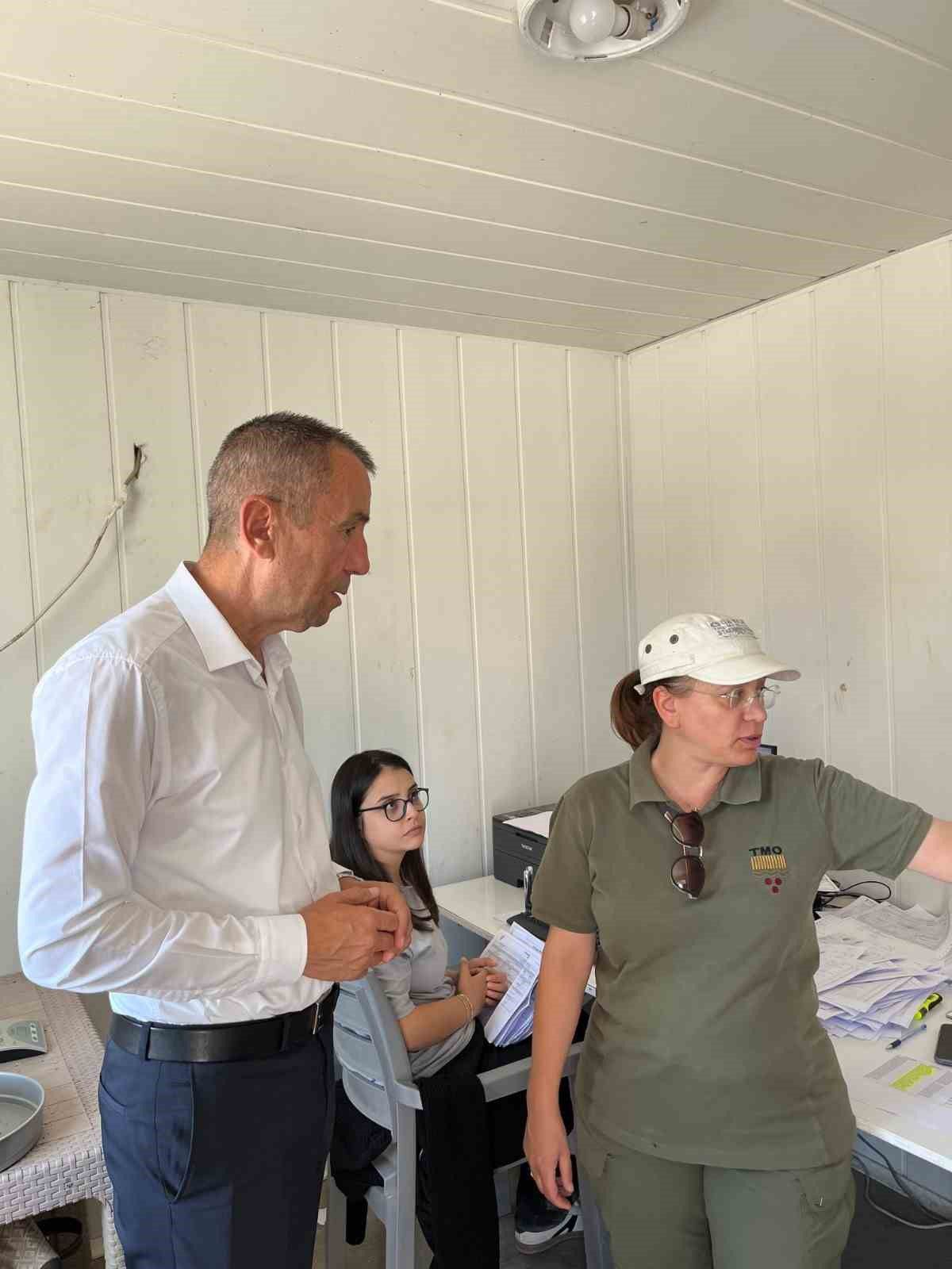 Bilecik’te TMO Alım Noktasına İnceleme
