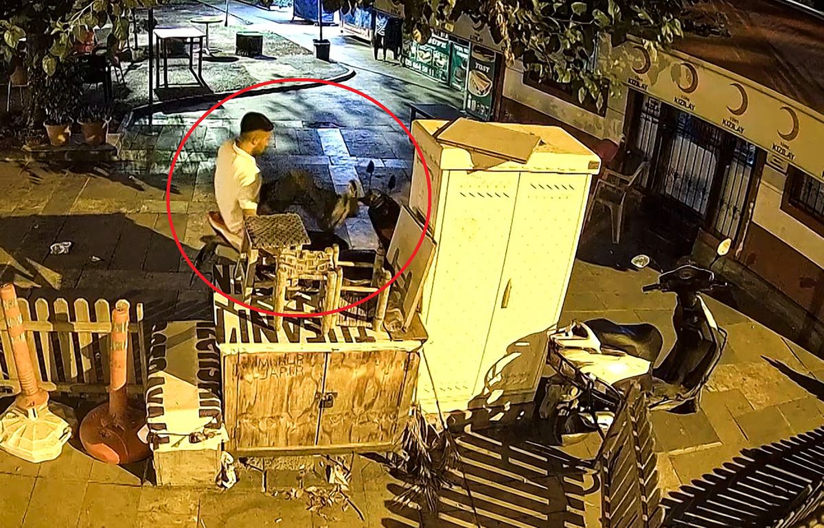 Parkta Motosiklet Çalan Şüpheli Alkollüyüm Dedi Ama Tutuklandı