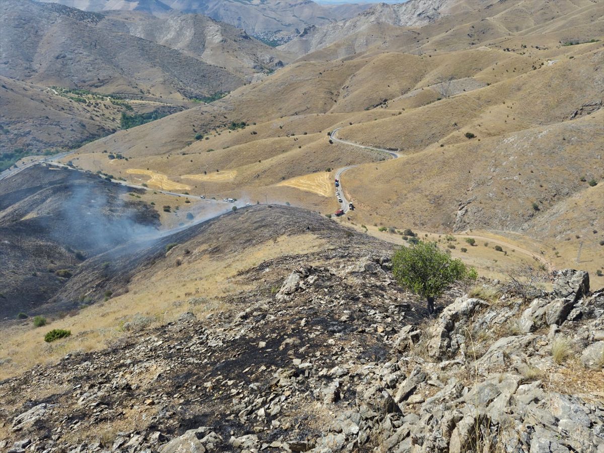Elazığ'da Otluk Yangını Söndürüldü, 500 Dekar Zarar
