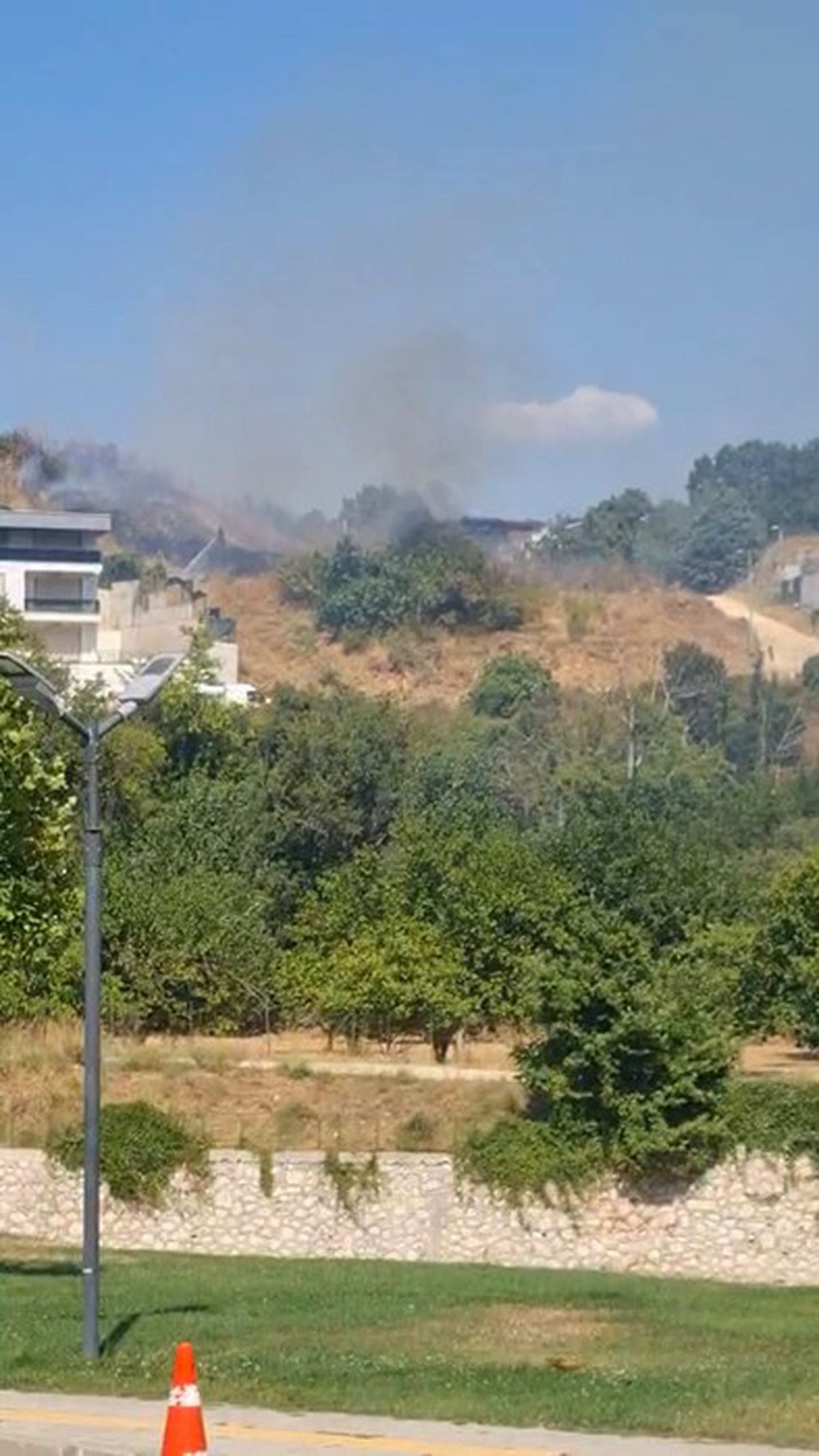Nilüfer'de Otluk Alan Yangını Korkuttu