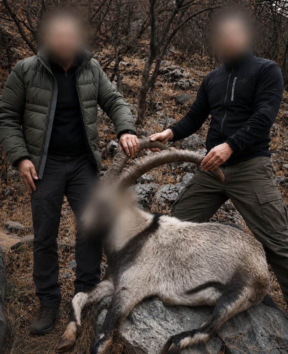 Siirt'te 5 Yaban Keçisini Yasa Dışı Avlayanlara Ceza
