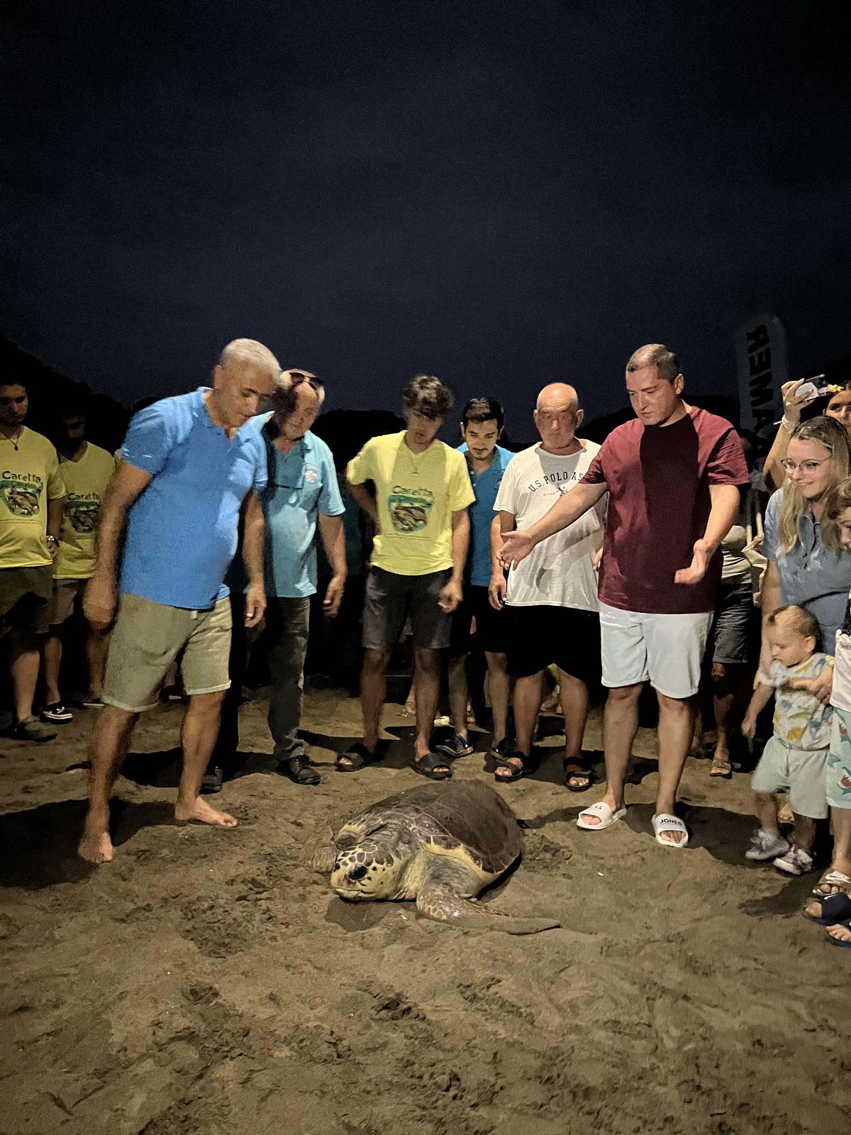 Marmaris'te tedavi edilen caretta caretta 'Kaan-19' doğaya salındı