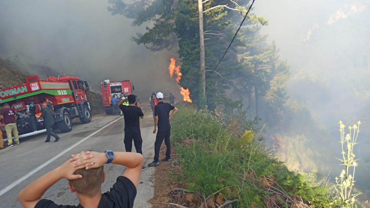 Bursa'da orman yangını 2 saatte kontrol altına alındı