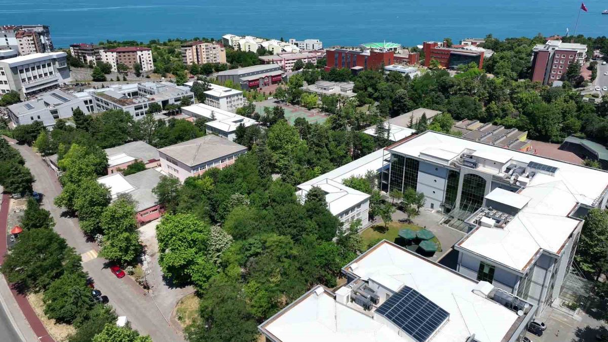 Zonguldak Bülent Ecevit Üniversitesi 45 Sözleşmeli Personel Alacak