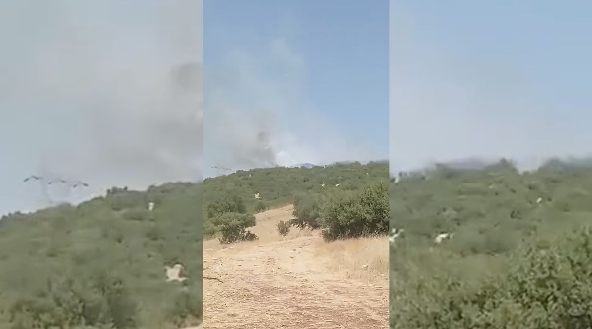 Adıyaman’da orman yangını