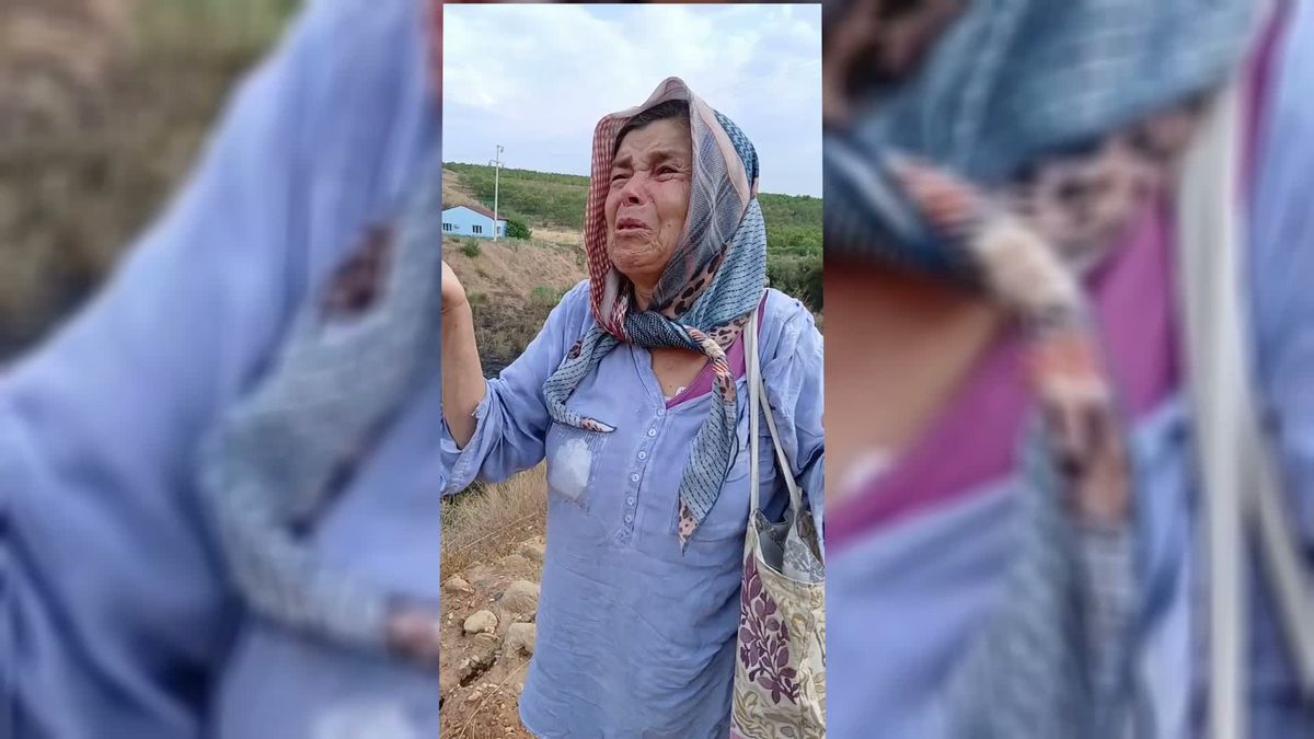 Karacasu'da Zirai Yangın: 50 Dekar Arazi Küle Döndü, Üretici Gözyaşlarına Boğuldu