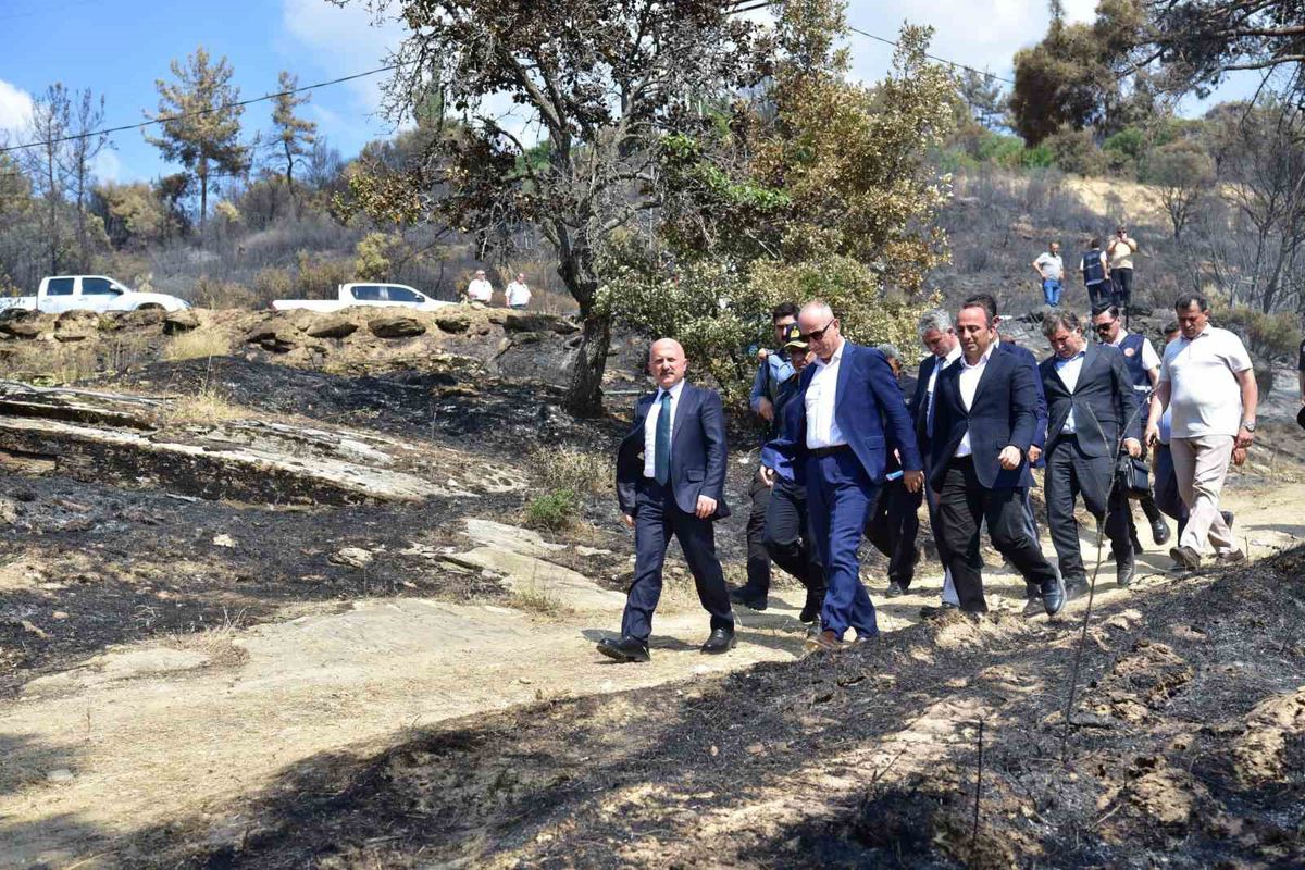 Çine Yangın Bölgesinde İnceleme
