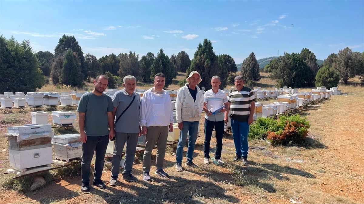 Beyşehir'de Arıcılık ve Huzurevi Gelişmeleri