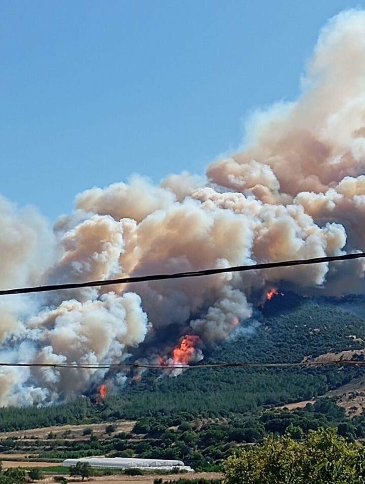 Çanakkale'de 2 Ayda 44 Orman Yangını: 541 Hektar Zarar