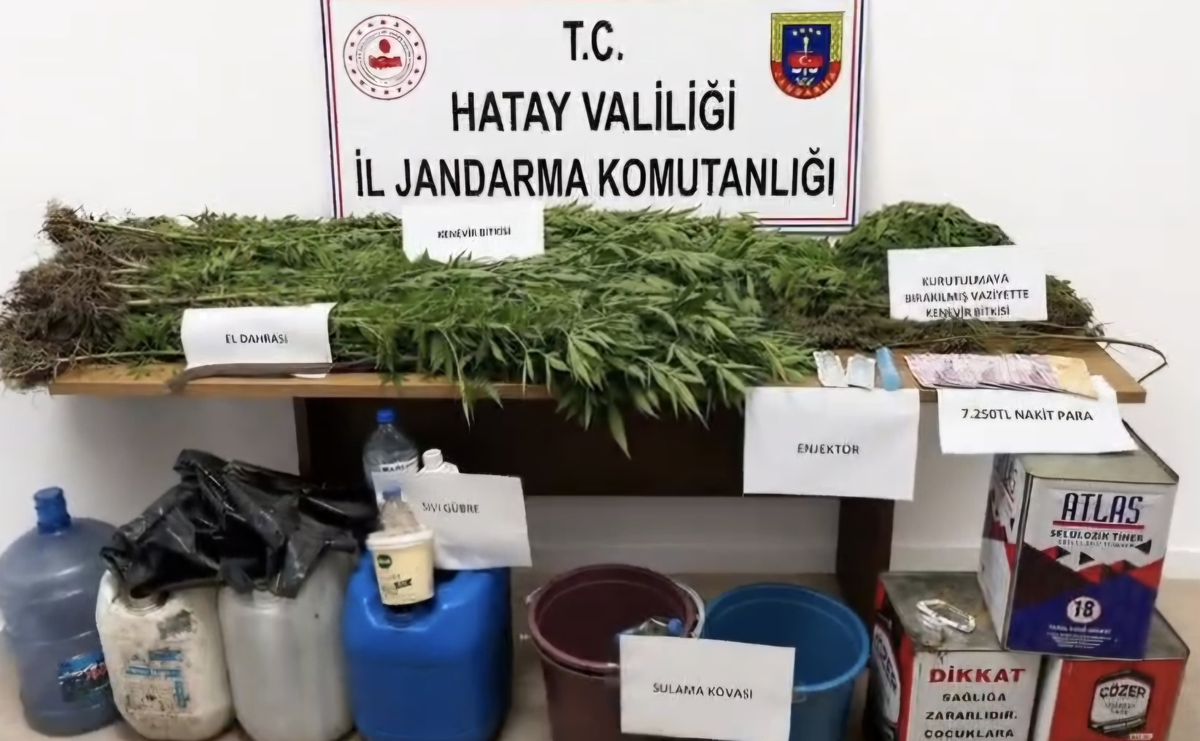 Hatay'da Uyuşturucu Operasyonu: 144 Kök Kenevir ve 650 Gram Kubar Ele Geçirildi